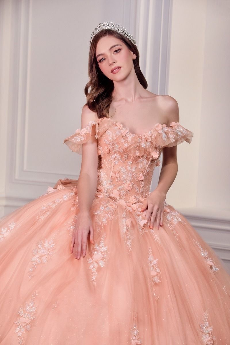 Vestido de Fiesta con Hombros Descubiertos y Aplicaciones Florales en 3D, Color Blush