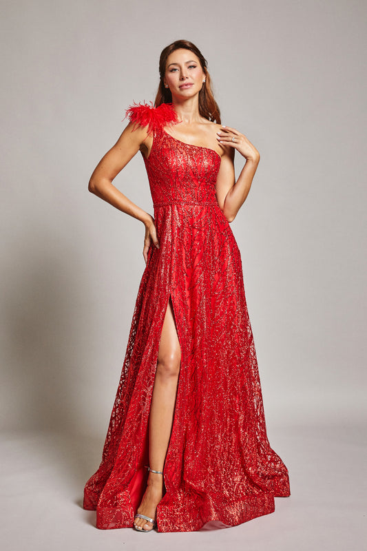 Vestido Corte en A Bordado con un Hombro y Aplicaciones con Plumas, Colores Red y Royal