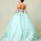 Vestido de Fiesta de Tul Bordado con Flores 3D y Perlas, Color Sage