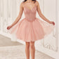 Vestido Corto de Tul en Línea A (Varios Colores)