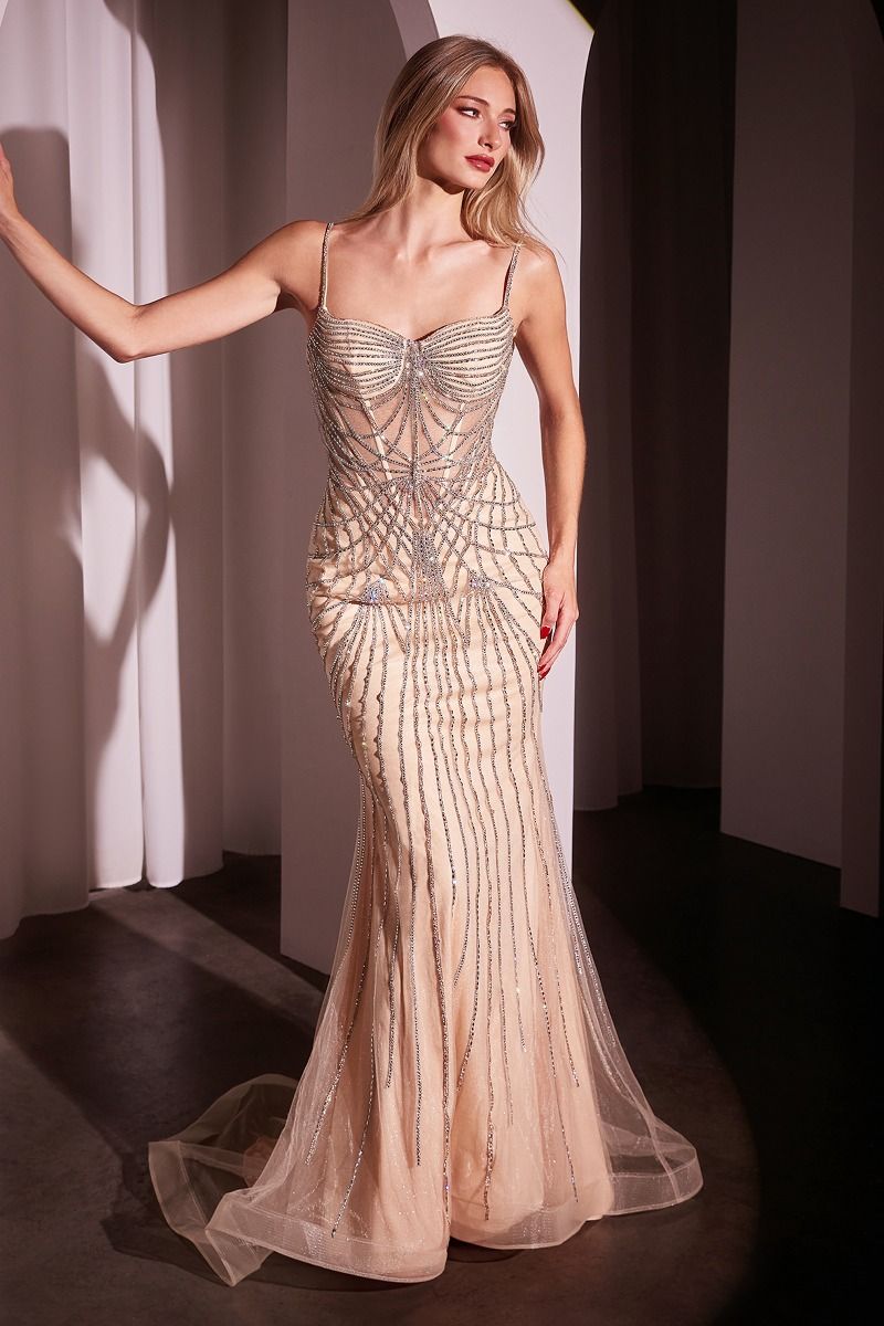 Vestido Corte Sirena Escote Corazón, tirantes finos, corpiño transparente y motivo lineal de pedrería (Varios Colores)