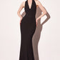 Vestido Corte Sirena Halter con espalda Descubierta (Varios Colores)