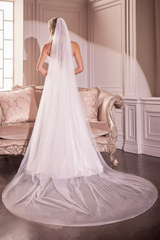 Velo Largo de Tul con Delicadas Gotas de Perla