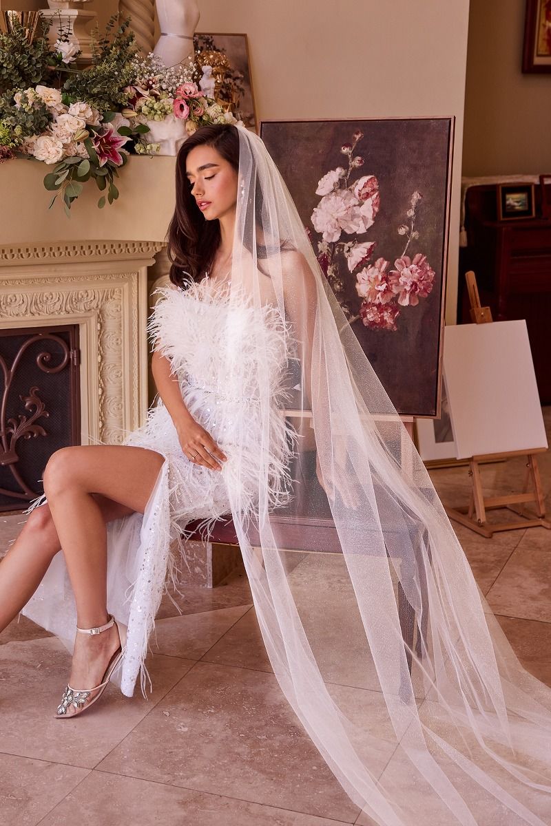 Velo de Tul Brillante, Color Off White