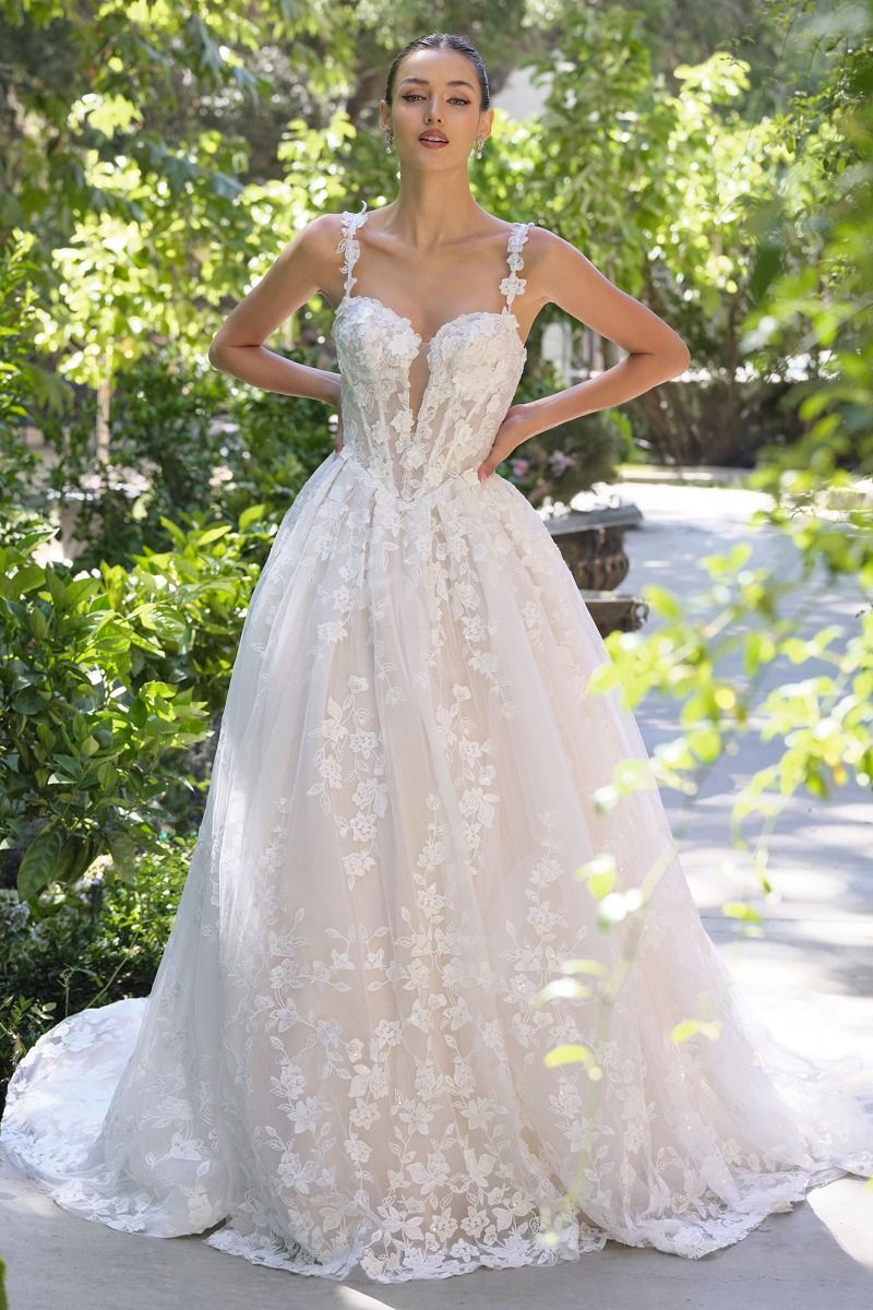 Vestido de Novia Escote profundo con ilusión, tirantes de encaje floral y corpiño de encaje 3D